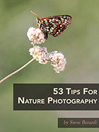 53 Tips For Nature Photography